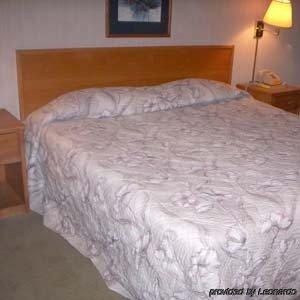 Princess Motel Меривил Стая снимка